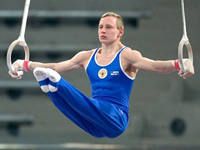 ЗМС России - Участник Олимпийских игр 2012 г. - 4 место в упр. на кольцах; Чемпион России 2008,2010,2011,2014 гг. в упр. на кольцах, 2013 г. - в команде; Обладатель Кубка Мира 2010,2011 г. в упр. на кольцах; Чемпион Европы 2012,2014 гг.