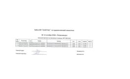 3 разряд, МРГ 2009-2010 г.р.