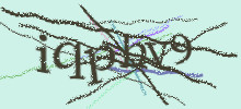 Проверочный код
